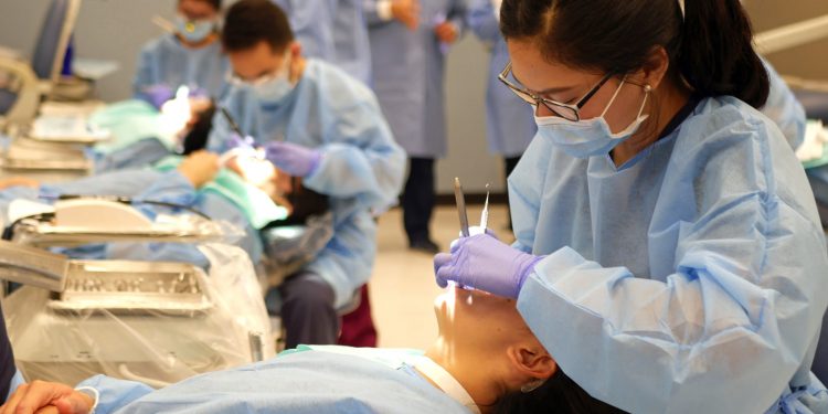 Why Dental Education Is Important? State 5 Valid Reasons